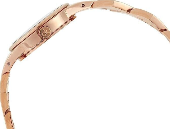 New Swiss Made CALVIN KLEIN Snake Quartz Silver Dial Ladies Watch