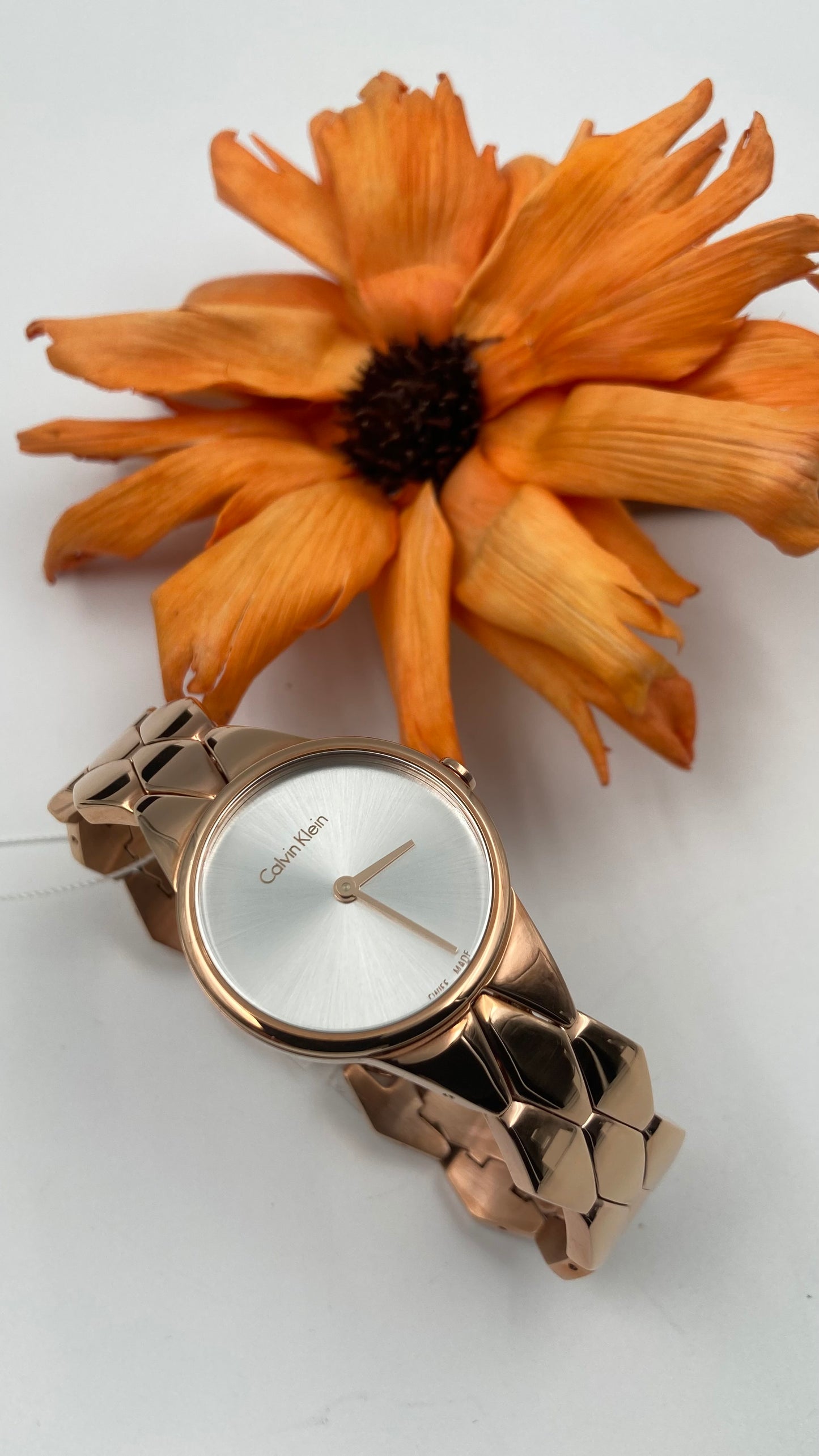 New Swiss Made CALVIN KLEIN Snake Quartz Silver Dial Ladies Watch