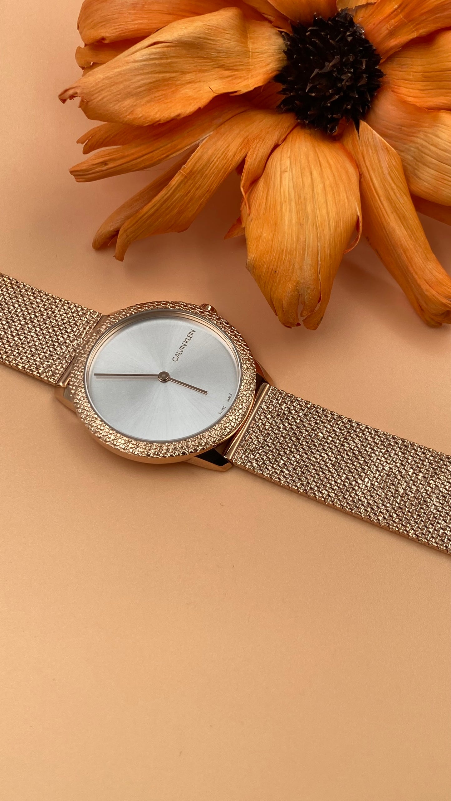 Neue, in der Schweiz hergestellte CALVIN KLEIN Minimal Quartz Damenuhr mit silbernem Zifferblatt