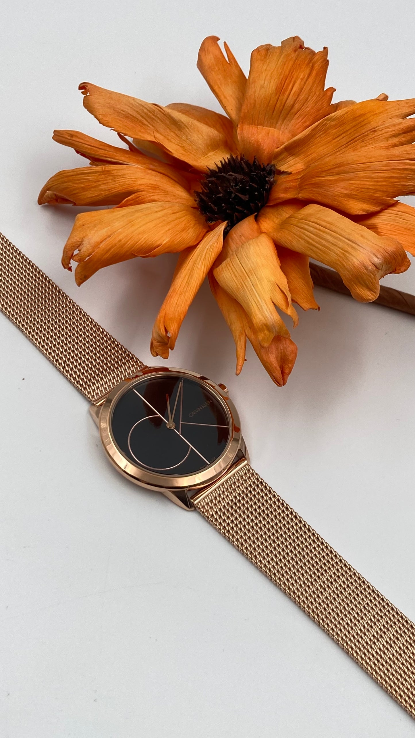 Neue, in der Schweiz hergestellte CALVIN KLEIN Minimal Quartz Damenuhr mit schwarzem Zifferblatt