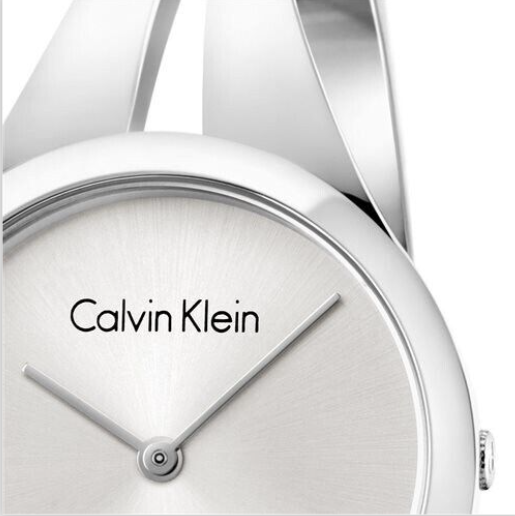 New Swiss Made CALVIN KLEIN Addict Silver Dial Small Bangle Ladies Watch