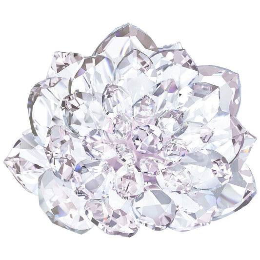 Neu SWAROVSKI DAHLIA - KRISTALL