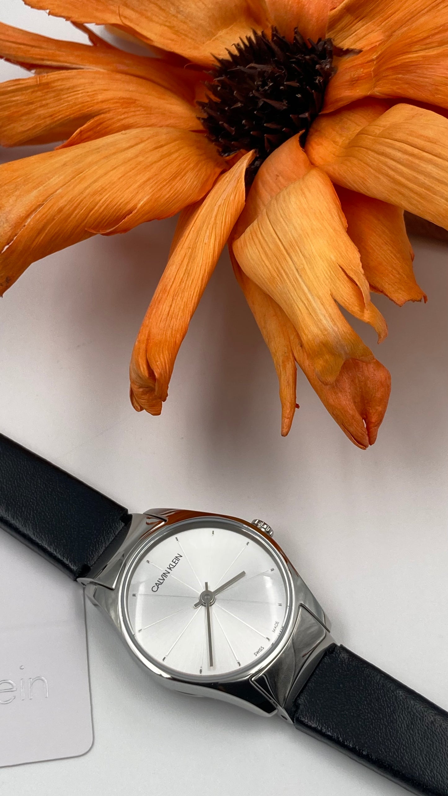 New Swiss Made CALVIN KLEIN Classic Quartz Silver Dial Ladies Watch