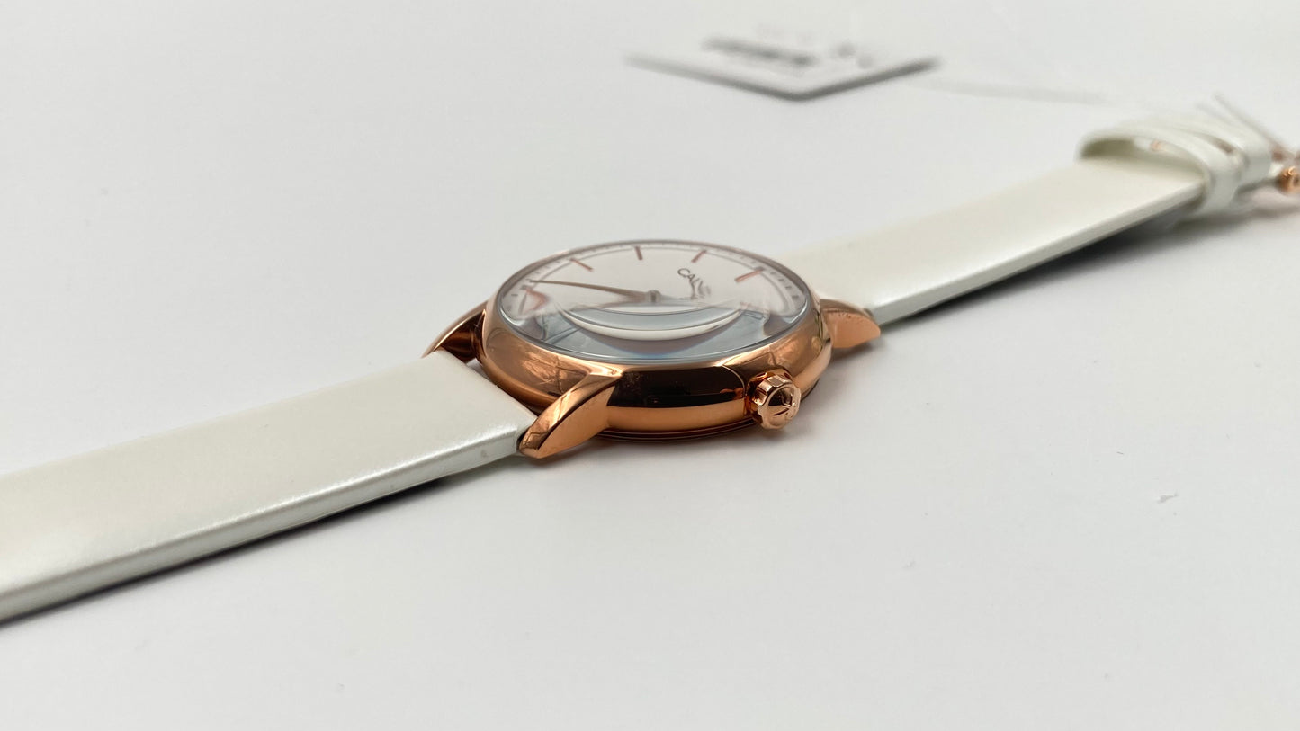 New Swiss Made CALVIN KLEIN Established Quartz Silver Dial Ladies Watch